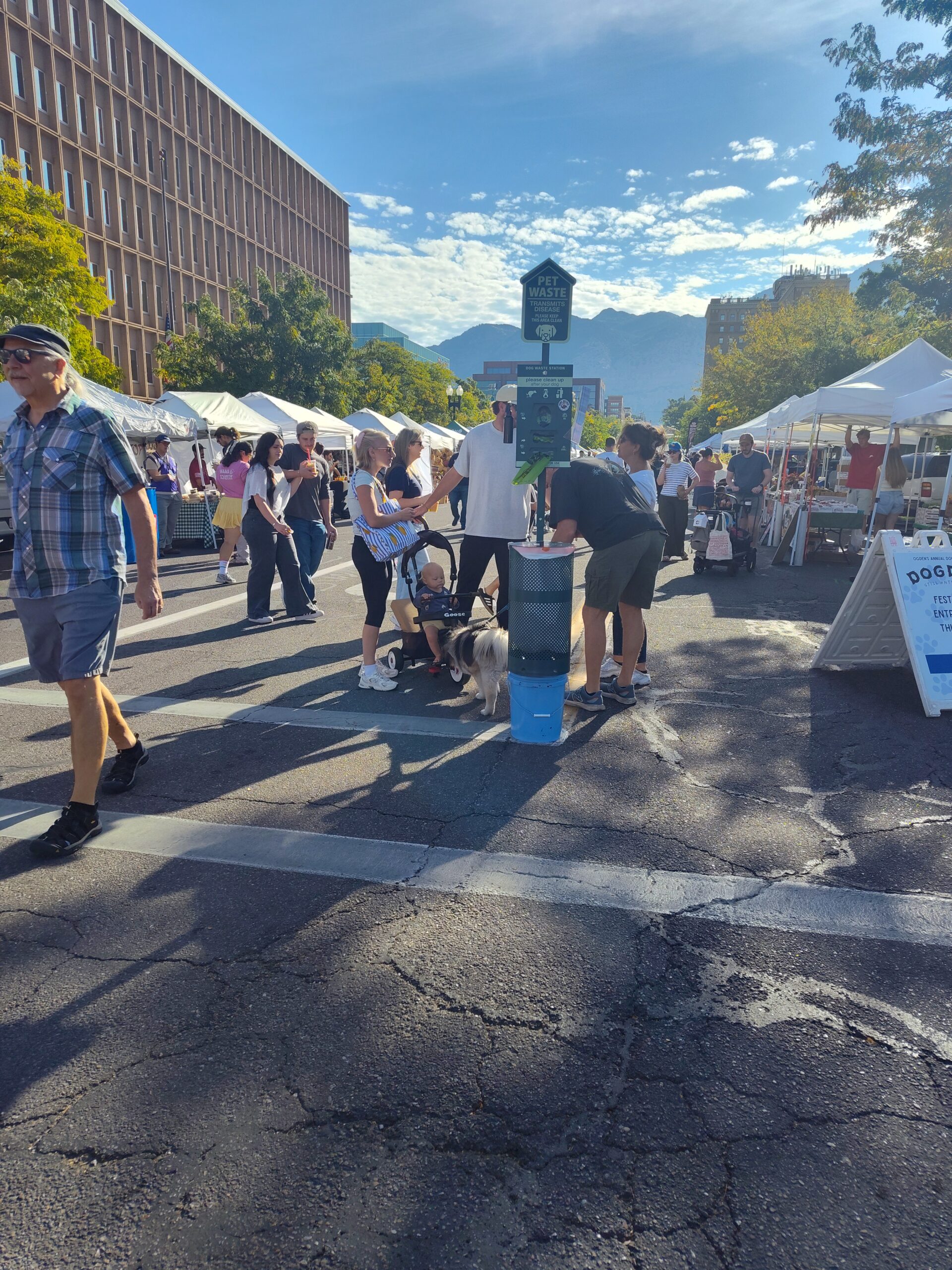 Pet Waste Stations