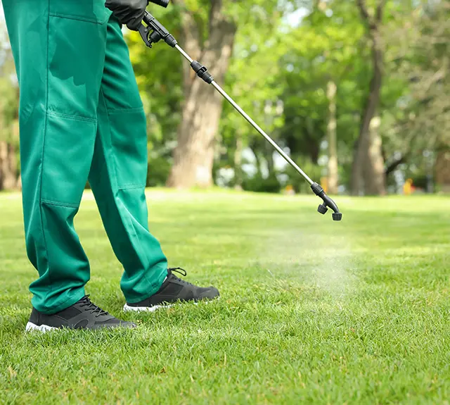 Cleaning & Deodorizing Services