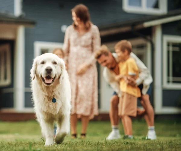 family with dog